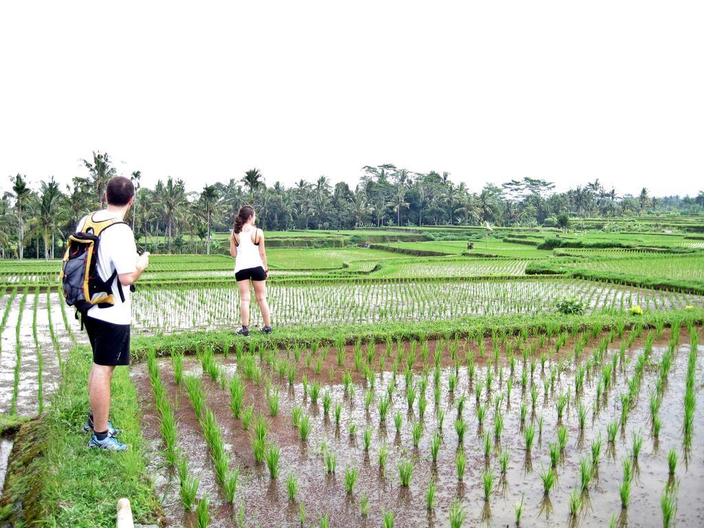 Uma Caming Villas & Gym Tegallalang  Bagian luar foto